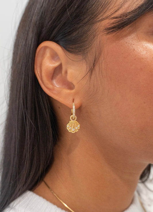 Shell Earrings