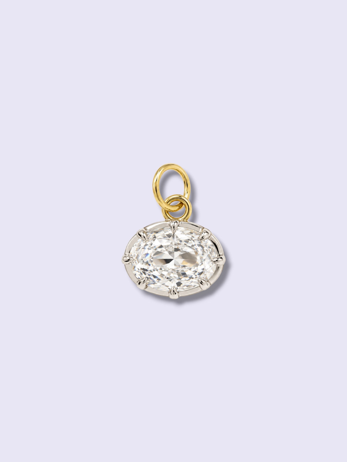 Oval Crystal Two-Tone Charm