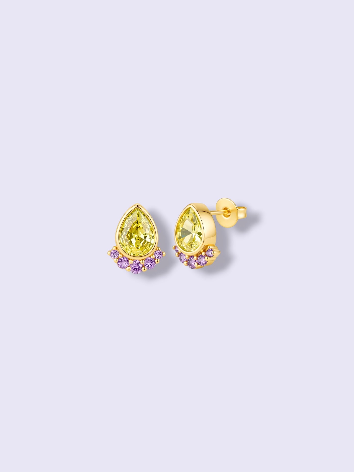 HV Signature Earrings