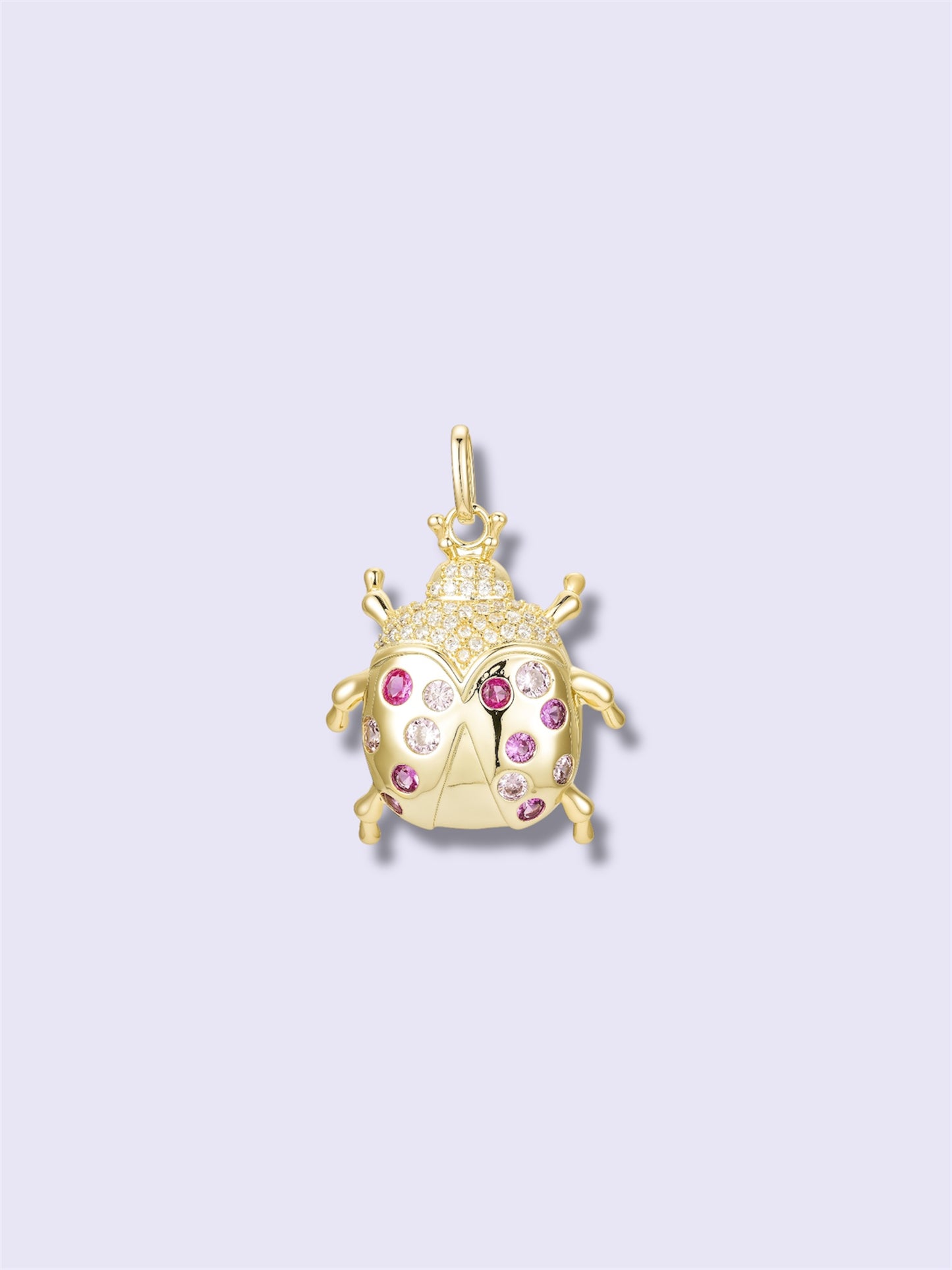 Lucky Ladybug Charm
