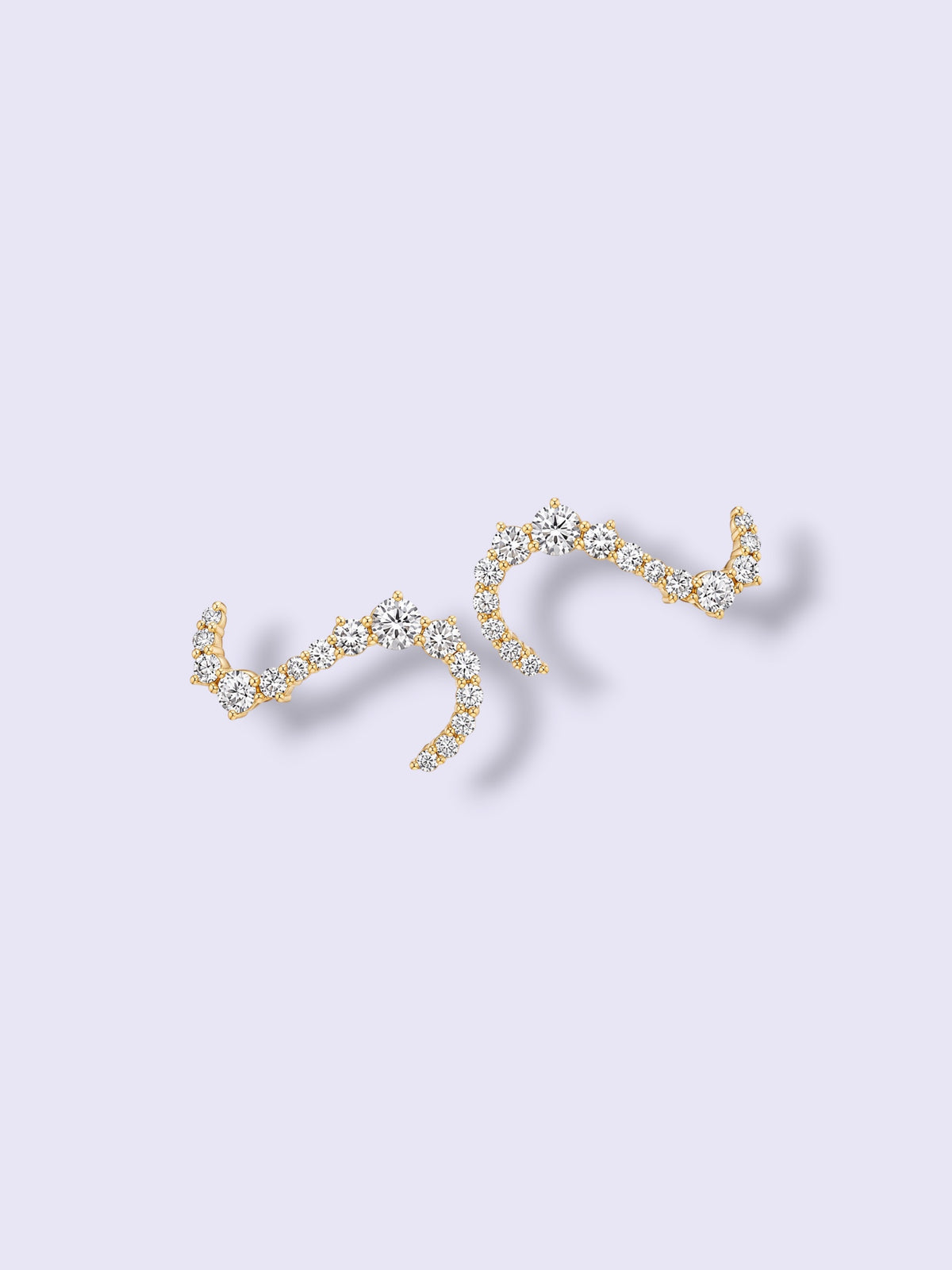 Crystal Curve Earring