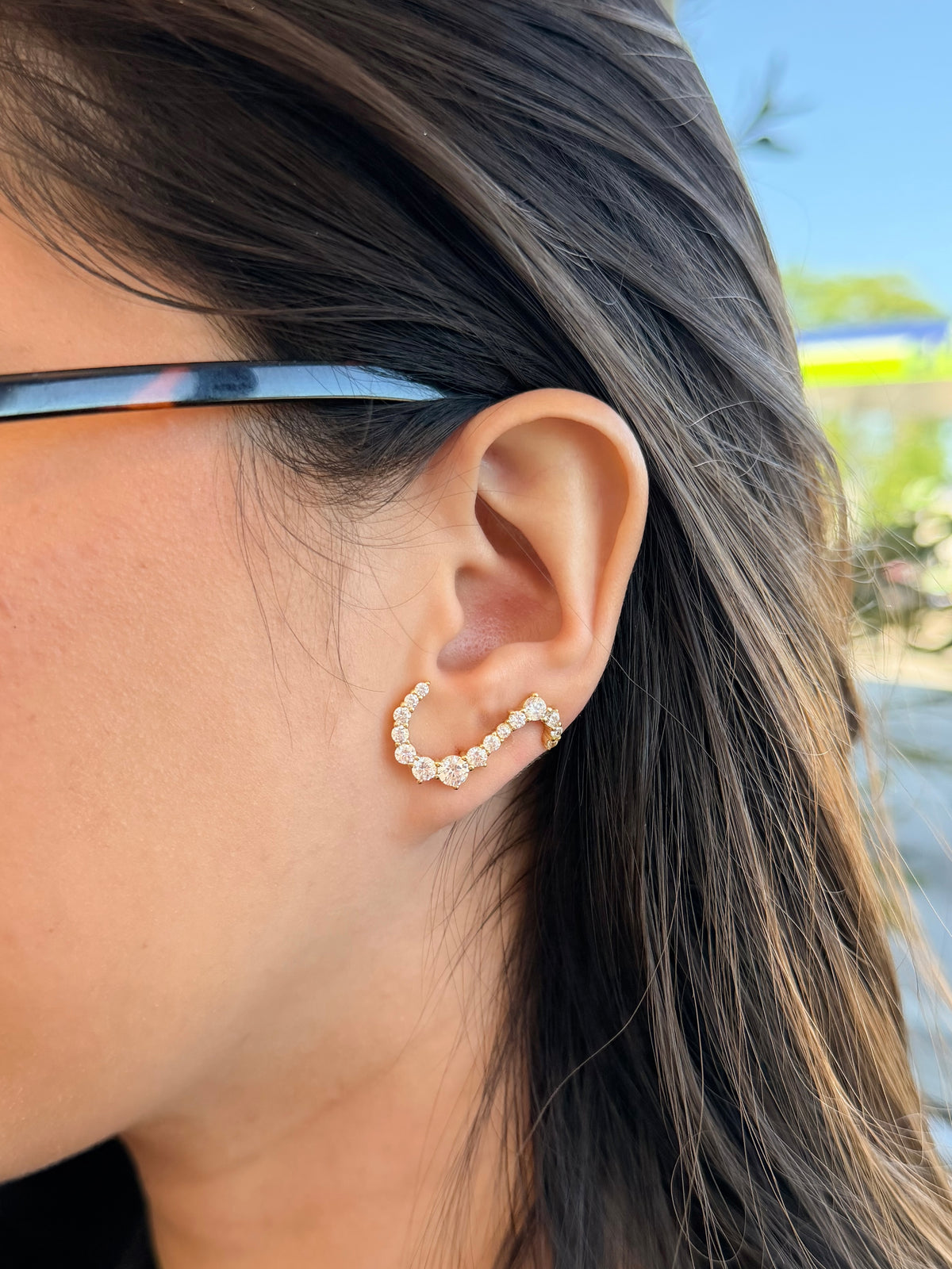Crystal Curve Earring