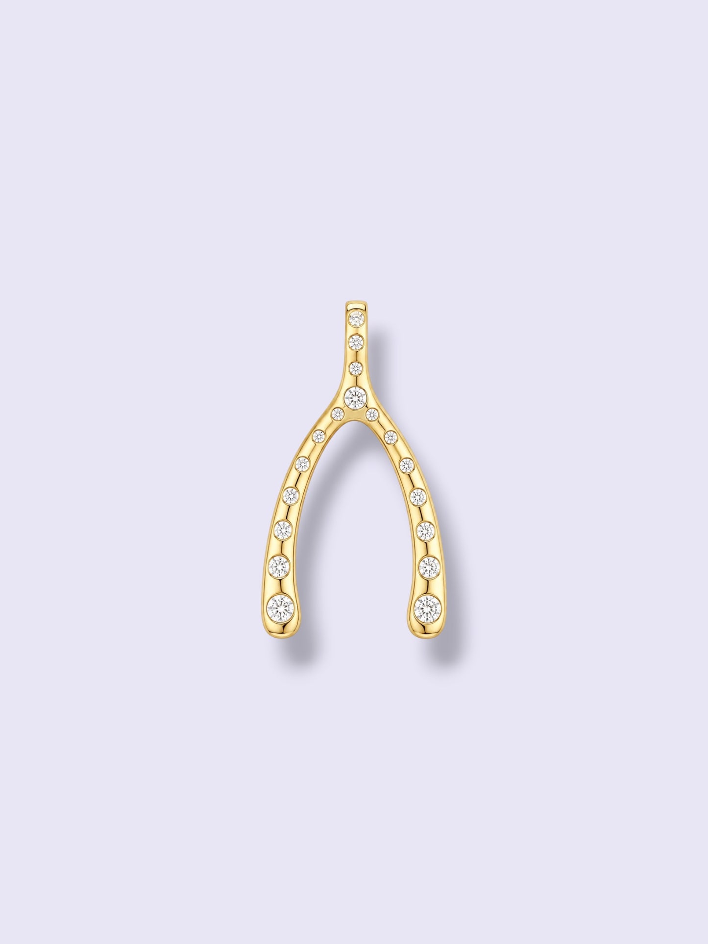 Lucky Wishbone Charm